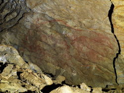 cave-paintings-among-the-oldest-in-europe
