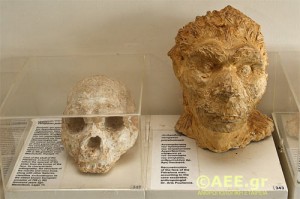 petralona-cave-skull-4